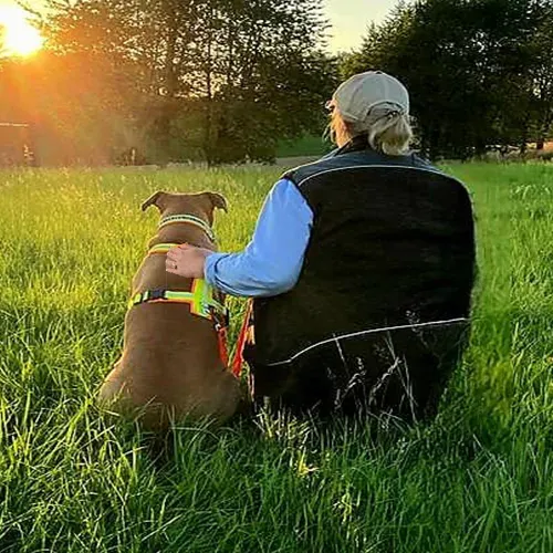 Verbindung Hund Mensch